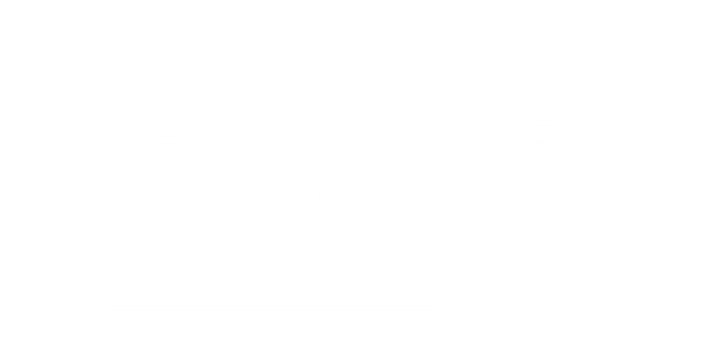 Turbo XS 08-14 Subaru WRX/STi Billet Aluminum License Plate Delete Black Machined WRX Logo